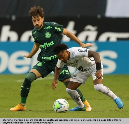 www.seuguara.com.br/Marinho/Santos/Palmeiras/Brasileirão 2020/