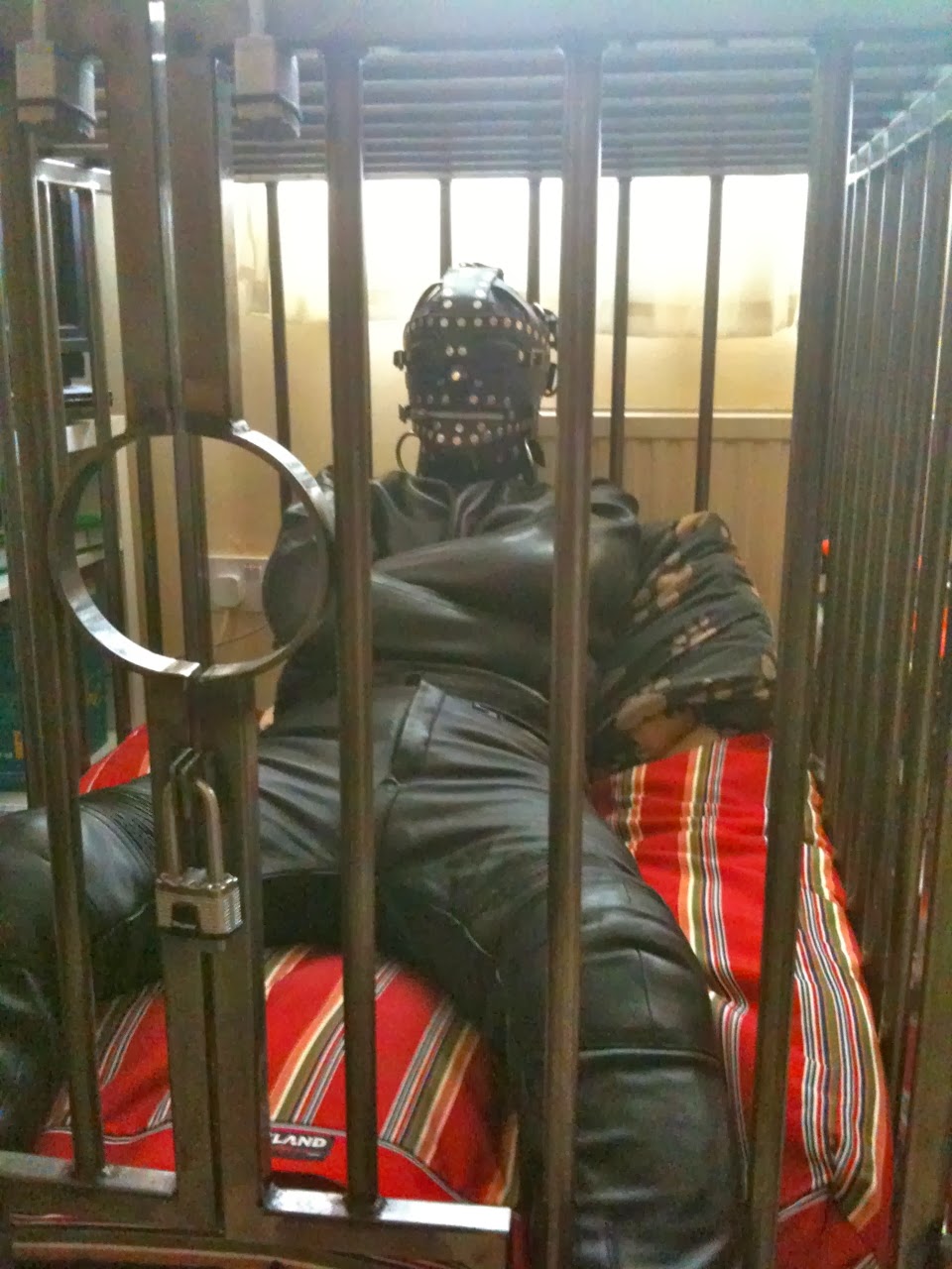 caged beauties in the nazi dungeon of the damned caged beauties in the nazi dungeon of the damned
