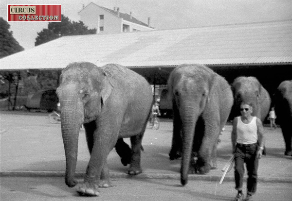 les éléphants du Cirque Pinder  et leur cornac 