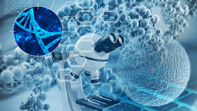 Nanotecnologia https://portalmzmagazine.blogspot.com/