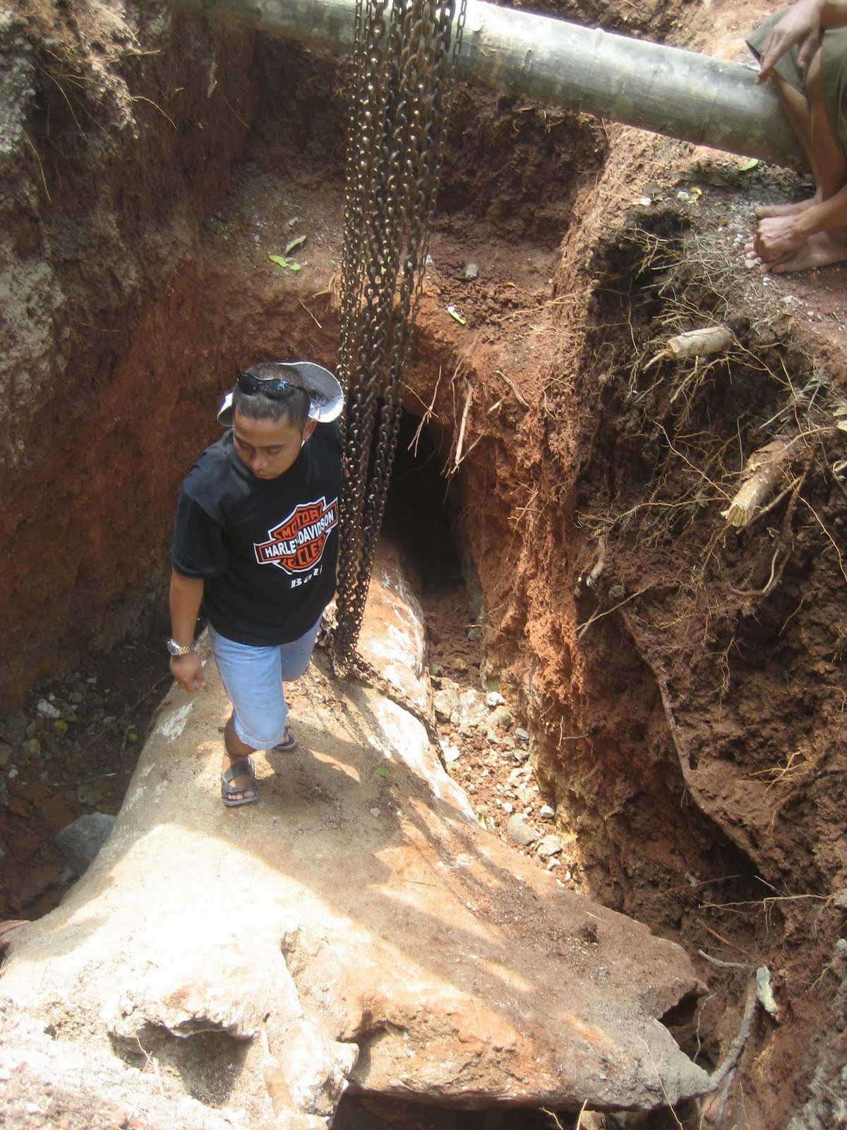 Fossil Wood indonesia
