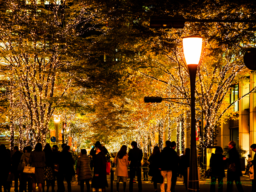At 旅兒鳥 11 2月 冬季的風物詩 照耀著夜晚街道的 丸之內霓彩燈飾18 東京