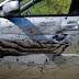 Russian Driver Turns Dented Car Door into an Artistic Map