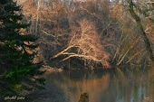 Schuylkill River