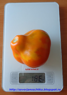 ��������� ����� � �������