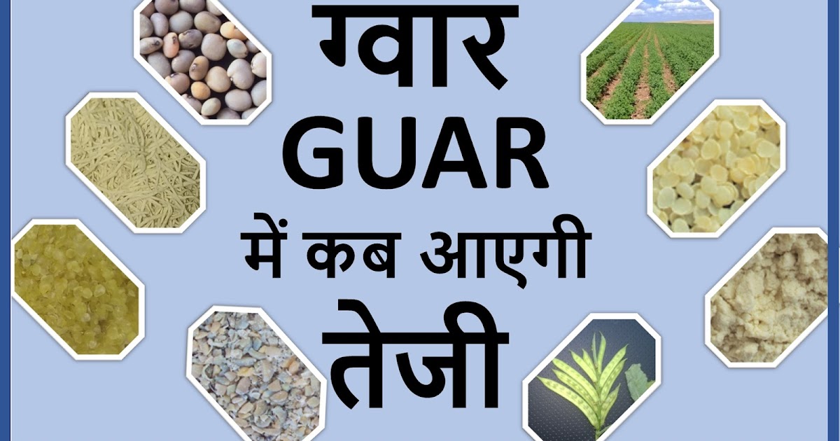 GUAR GUM INFORMATION AND GUAR GUM CULTIVATION IN INDIA ग्वार व ग्वार