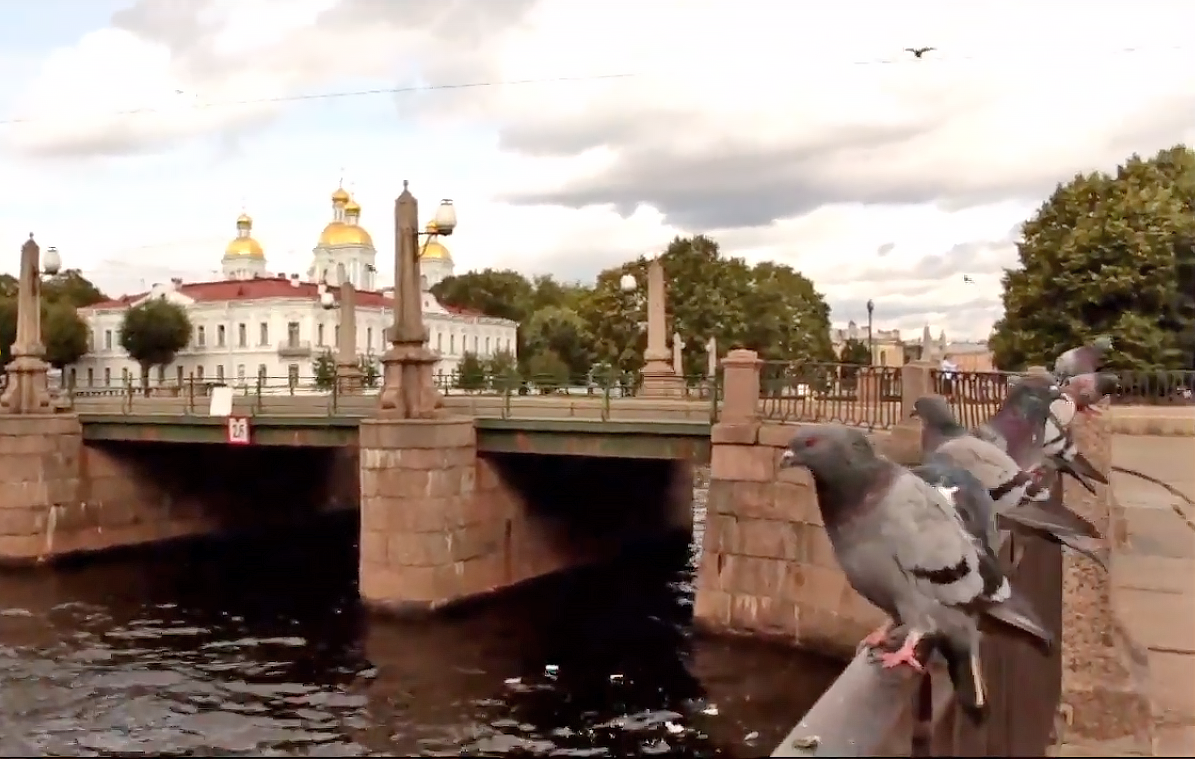 Семимостье National Geographic