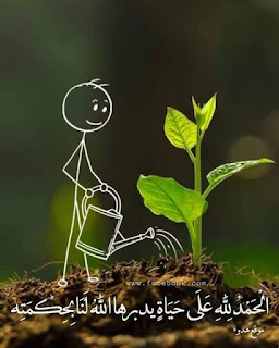 صور جميلة, صور جميلة للفيس بوك, صور فيسبوك, صور