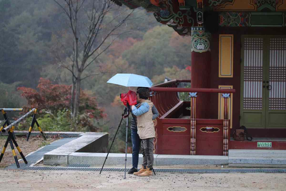 구례 지리산 연곡사