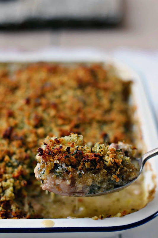 Milk and Honey Chicken and Leek Gratin