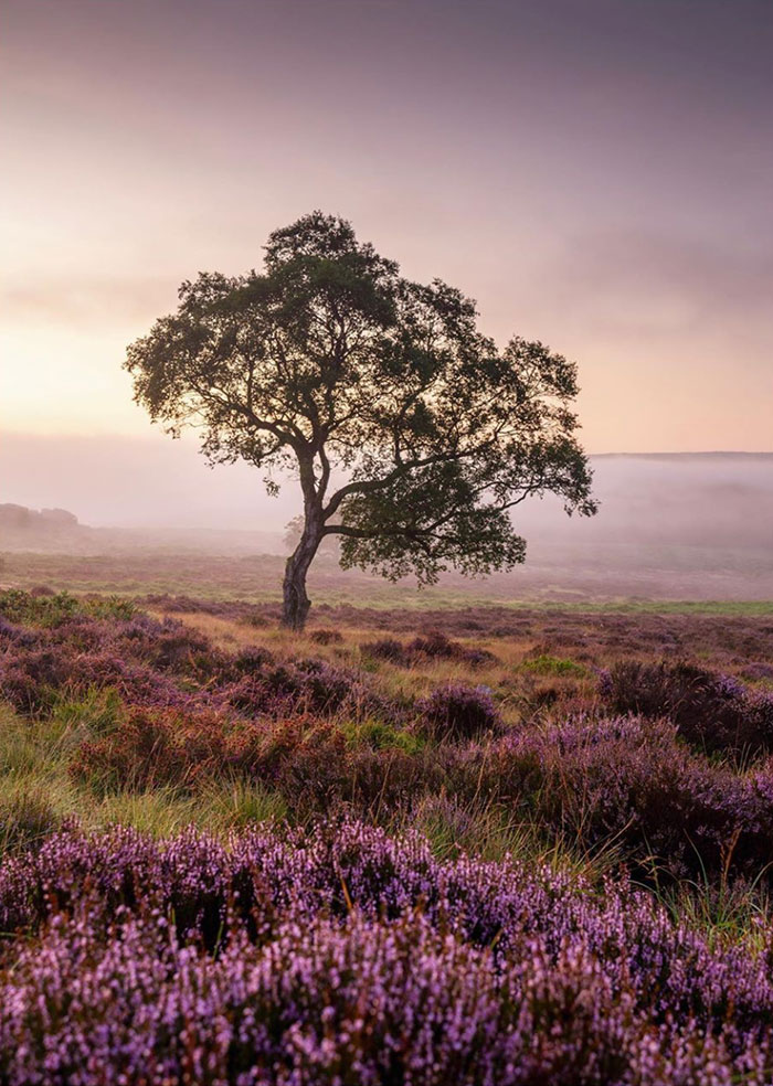 Weekday Wanderlust: The Beautiful English Countryside