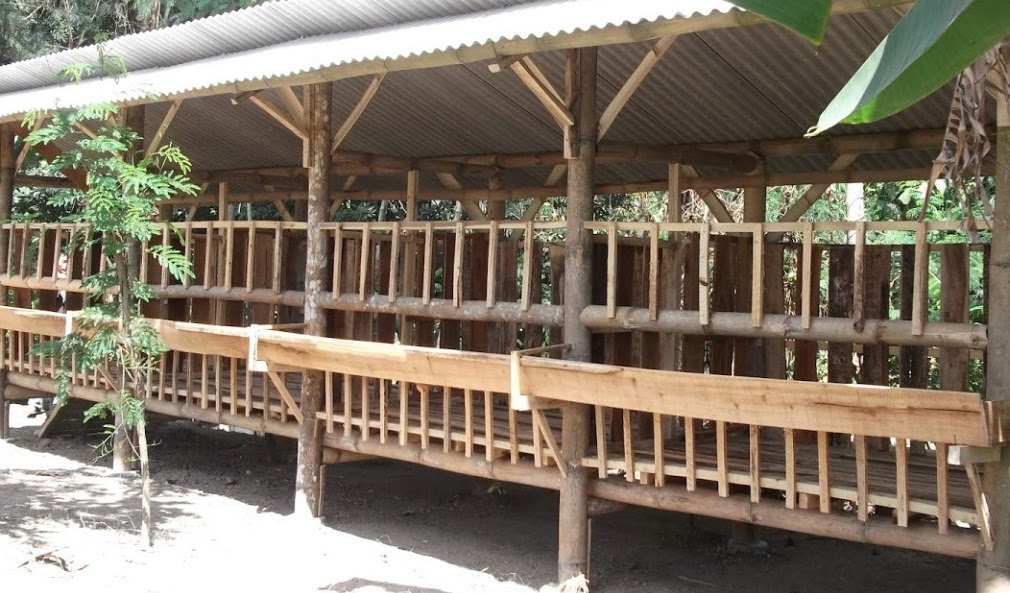 14 Gambar Desain Kandang Kambing Bambu Panggung Madani