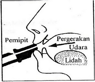 alatan muzik group1: BELAJAR REKODER