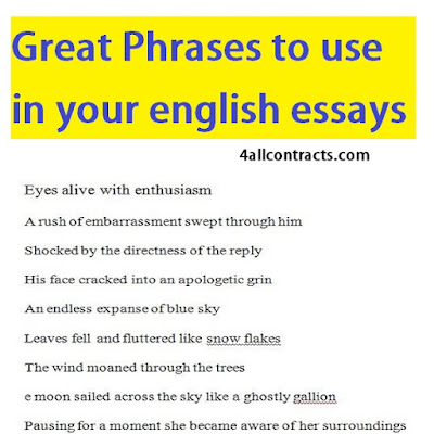 phrases in english for essays