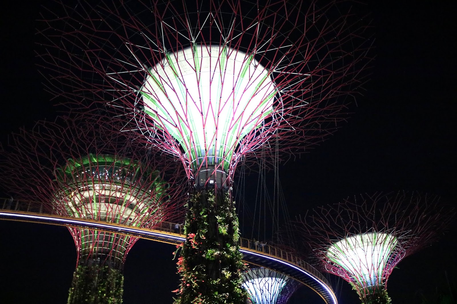 Super Trees at the Gardens By The Bay, Singapore