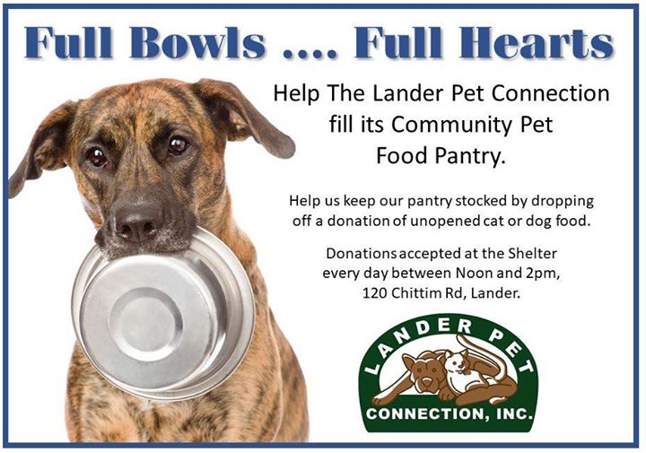mark tozer's blog Lander Pet Connection Full Bowls...Full Hearts