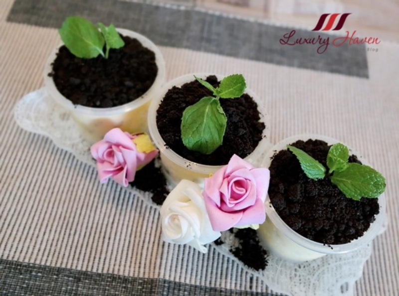 Haagen Dazs Salted Caramel Potted Plant Ice Cream Desserts