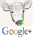 google+