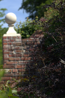 Gunstig Gartnern Januar 2016