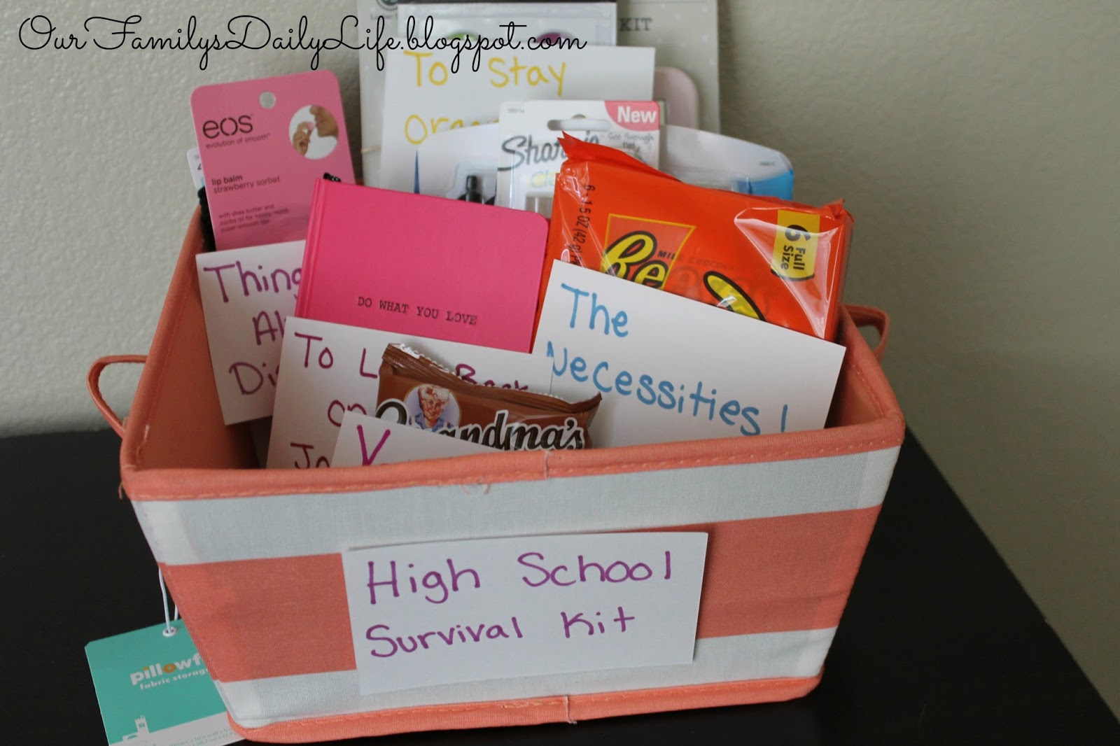 Our Family's Daily Life High School Survival Kit