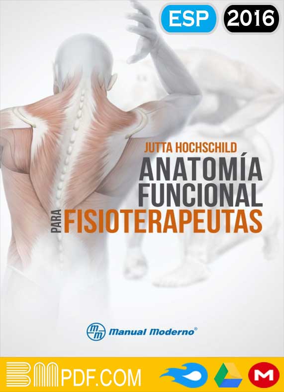 Jutta hochschild Anatomía funcional para fisioterapeutas PDF, anatomía humana