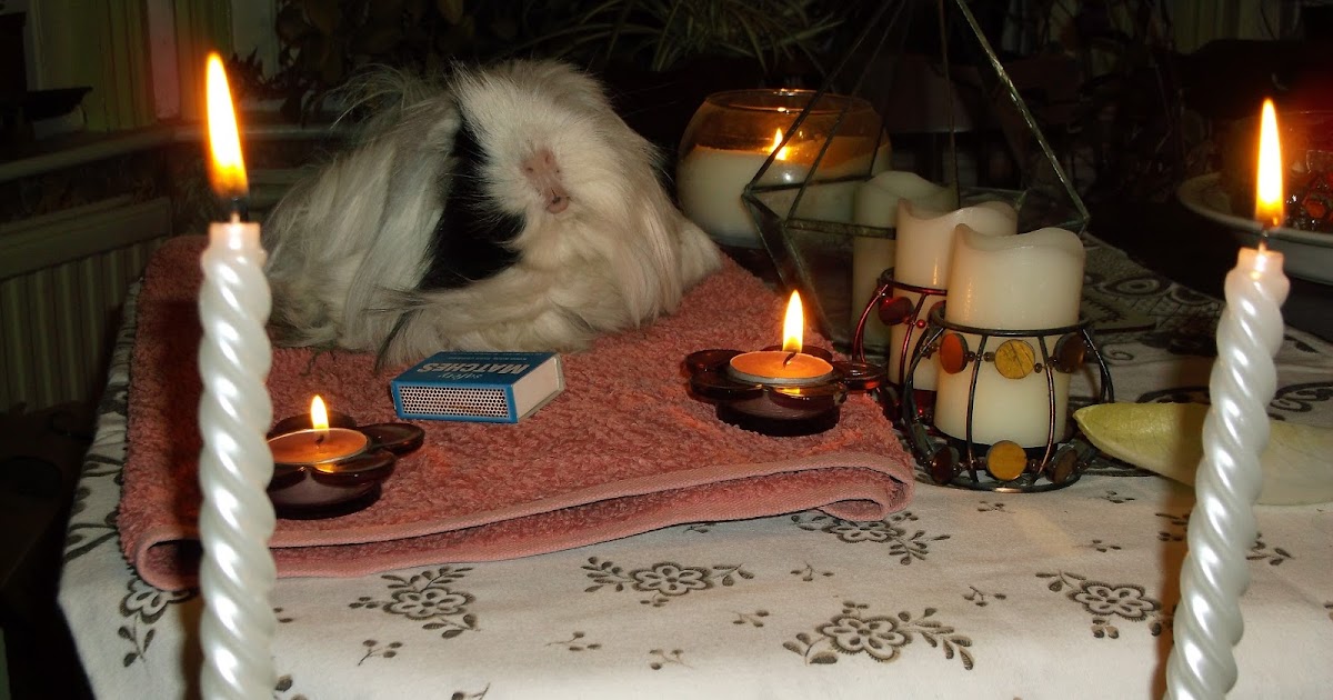 Undercover Guinea Pigs Peter Gurney memorial candle lighting