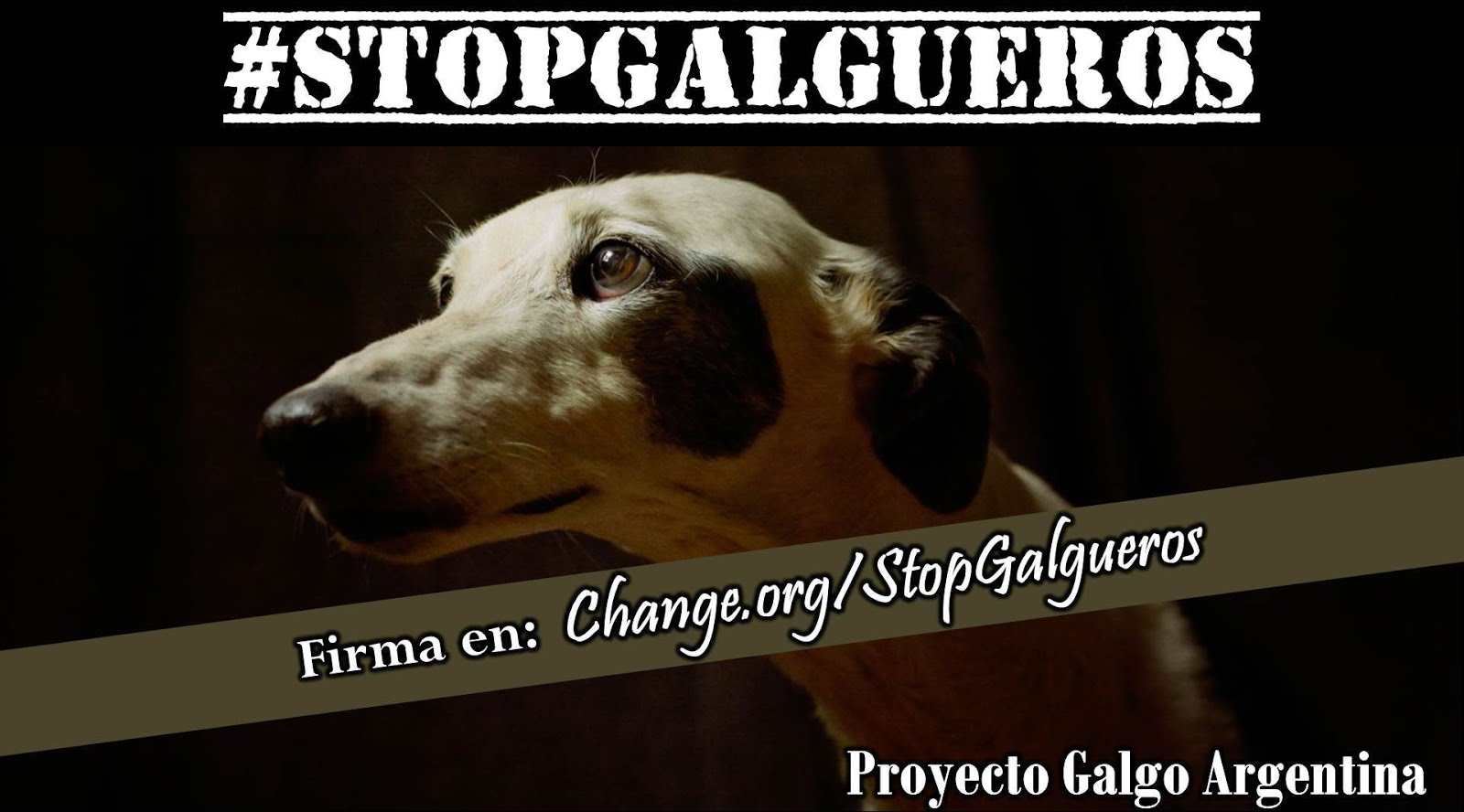 #STOPGALGUEROS