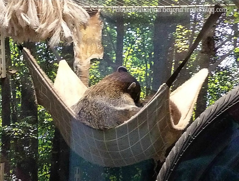 Pennsylvania & Beyond Travel Blog The Seaport Aquarium on the Wildwood Boardwalk