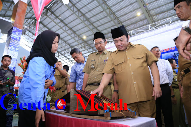 Zainudin Hasan  Sebut Acara Bursa Inovasi Desa Lamsel Tidak Kreativ