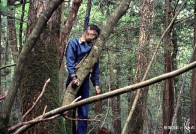 تدخل الحكومة اليابانية للحد من ظاهرة الانتحار تدخل الحكومة اليابانية للحد من ظاهرة الانتحار