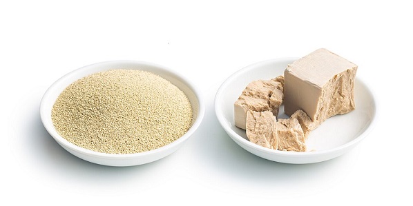 Health and aesthetic uses of instant yeast