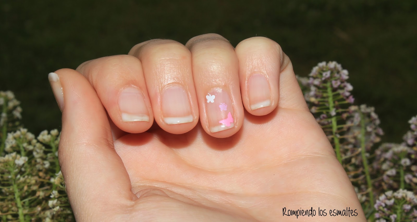 Estampación de mariposas More than nails Rompiendo los esmaltes