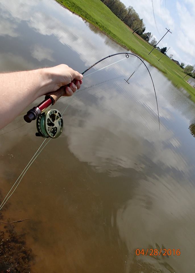 Bobcat Hollow Fly Fishing/Tying: Why Ultralight Fly Fishing?