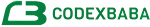 Codexbaba | Coding Material