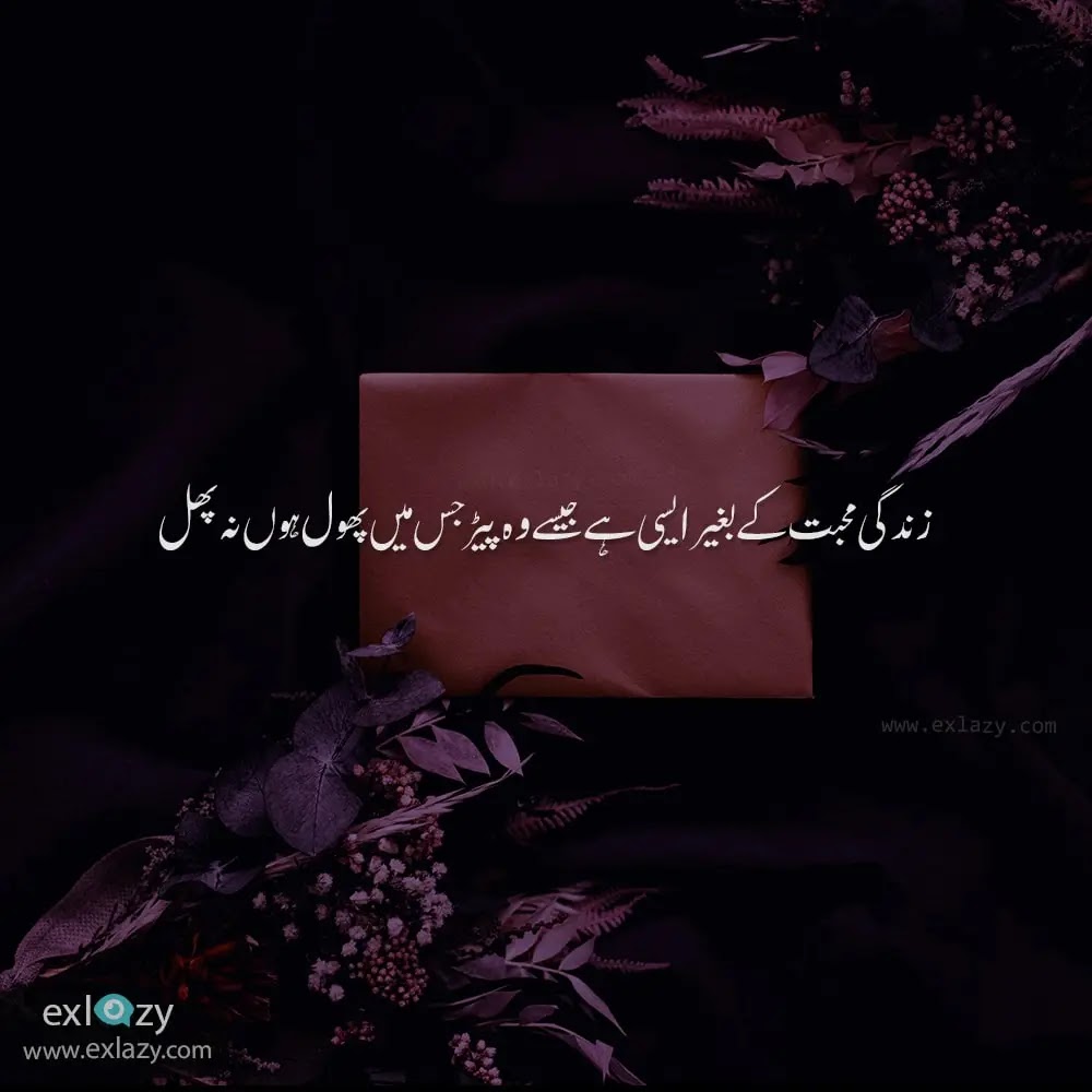 The Best 40 Life Quotes in Urdu That Will Blow Your Mind - ExLazy