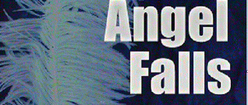 Angel Falls Tracey Sinclair @thriftygal