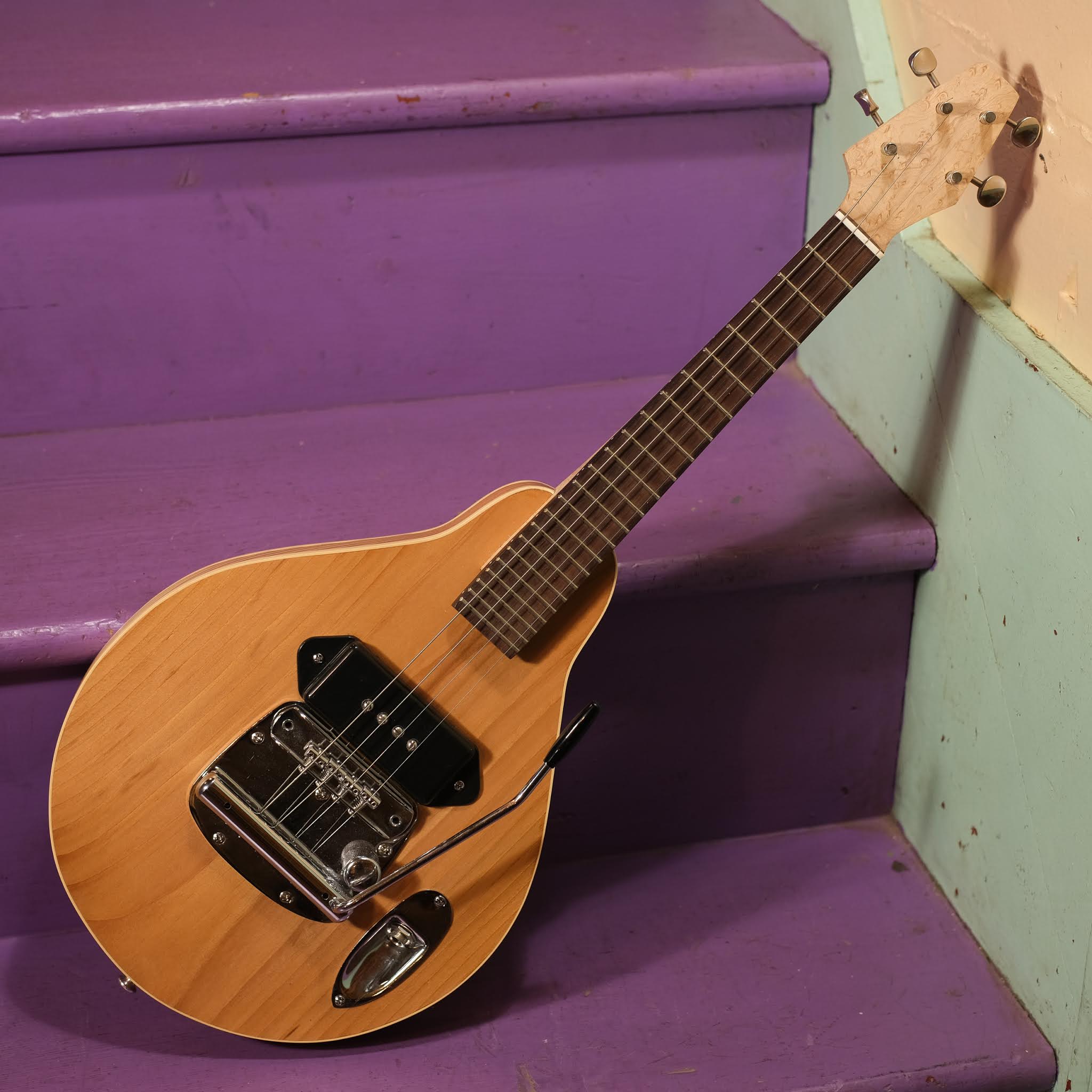 2020 Jake Wildwood 4String Electric Mandolin w/Whammy