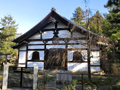 ���m������