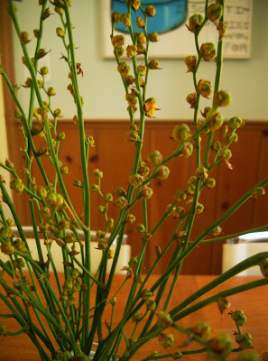 tabletop crocosmia at the createaerie