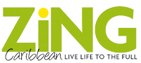 Picture of the logo for Zing magazine