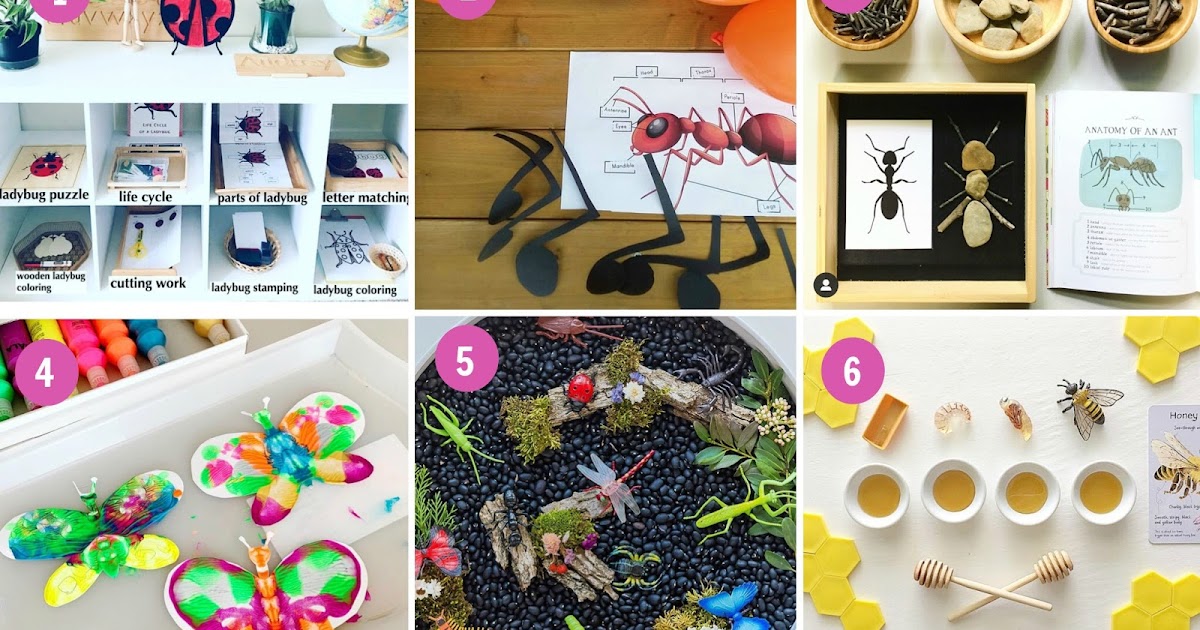 9 Best Insect Science Activities on Instagram | The Pinay Homeschooler