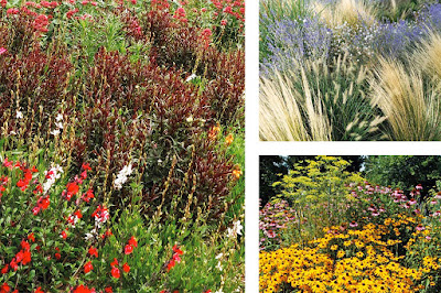 Jardín Sostenible Ciudades de Colores Jardín Sostenible Ciudades de Colores