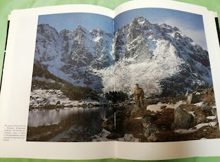 Заповедник для чего нужен. Смотреть фото Заповедник для чего нужен. Смотреть картинку Заповедник для чего нужен. Картинка про Заповедник для чего нужен. Фото Заповедник для чего нужен Заповедник для чего нужен. Смотреть фото Заповедник для чего нужен. Смотреть картинку Заповедник для чего нужен. Картинка про Заповедник для чего нужен. Фото Заповедник для чего нужен