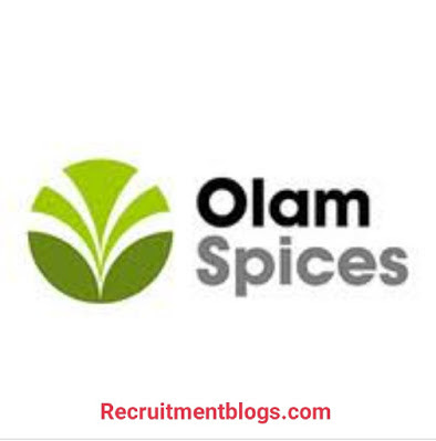 Projects Engineer At Olam Spices