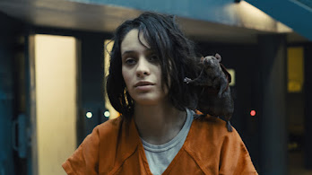Rat Wallpapers 4K HD