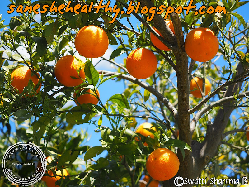 Health benefits of popular fruit Orange.