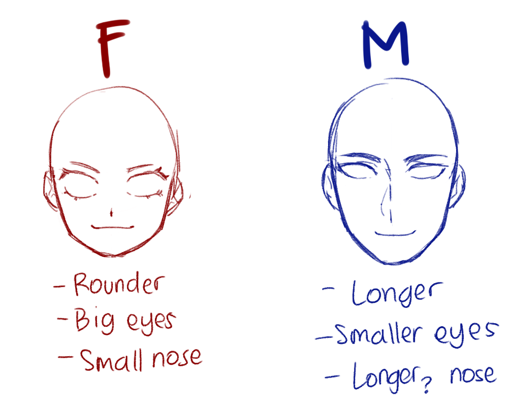 Drawing the face from all different angles - Anime Art Magazine