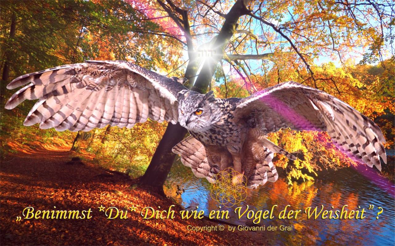 https://1.bp.blogspot.com/-4nnld-q2y4E/WCwL9M2IQLI/AAAAAAAAaHs/4AfHamDK9Hs6AaJev2fuatz-K3yUU2-UgCLcB/s1600/vogelsofengo.jpg