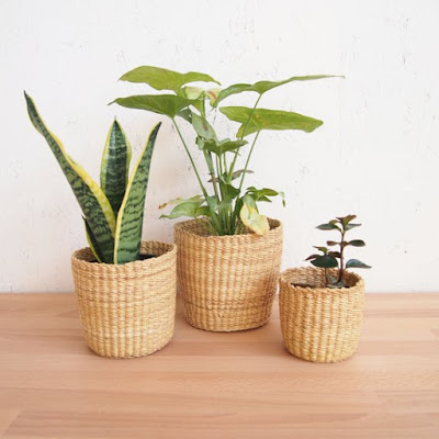The Five Best Etsy Stores for Planters for Small Spaces