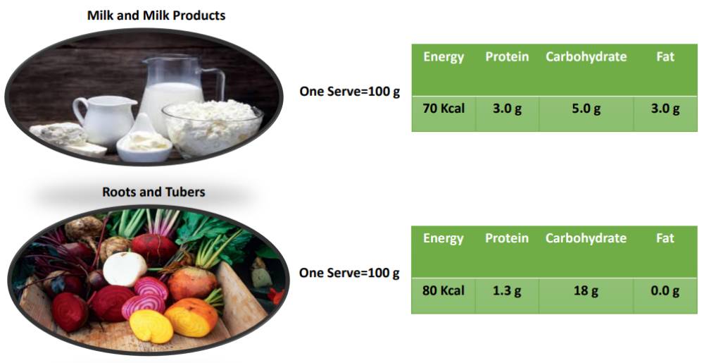 What is the standard serving size for each food group